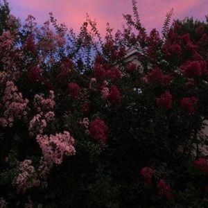 Meet your Posher, Umaru